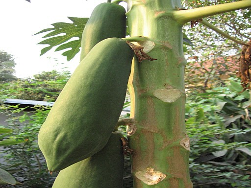 Nakhon Sawan Thailand