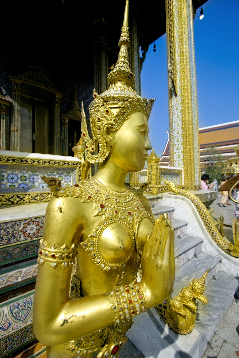 Thai Kitchen business online Empfohlen