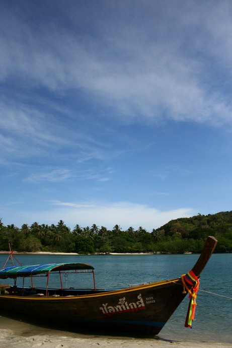 Thai Noodles online Empfohlen in asia Plattform